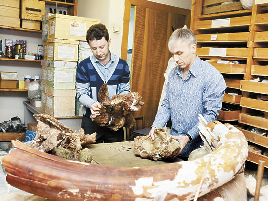 В Кузбассе найден уникальный динозавр 