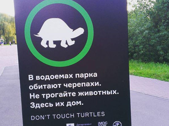 Они предупреждают граждан: не мучьте рептилий