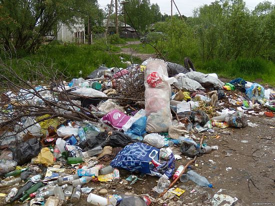 Городам Черноморского побережья края угрожает экологическая катастрофа