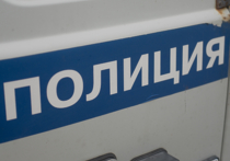 Пенсионера-извращенца, который приставал к девятилетней девочке во время полета на борту самолета «Новосибирск-Москва», разыскивают полицейские