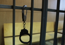 Убийцу собственной дочери Клинский городской суд приговорил к длительному сроку заключения