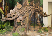 В 2000 году на территории «Больше-Кемчугского» заказника учеными были найдены фрагменты тел крупных динозавров