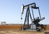 Иран заявил о готовности поддержать любые возможные меры по стабилизации нефтяного рынка