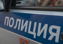 В российской столице стражи порядка разыскивают воришку, который вытащил деньги и личные вещи из Porsche мужчины