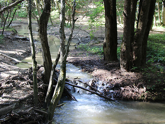 МУП «ВОДОКАНАЛ» Ставрополя рассматривает все возможности для снижения цены на воду