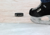 Хоккейный матч с участием юношеских команд из Чехии завершился трагедией