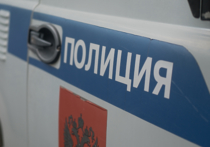 Московская полиция арестовала 39-летнего мужчину, ограбившего свою соседку