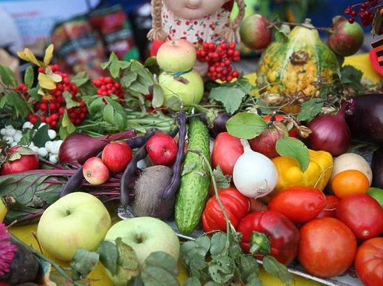 На этой неделе, 16 сентября на территории КемГСХИ в Кемерове пройдёт выставка-ярмарка «Сад и огород. Урожай-2016».