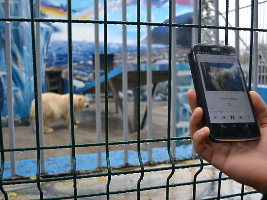 В Пермском зоопарке появился бесплатный аудиогид 