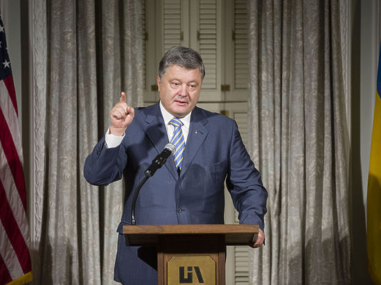 Политик рассказал о новой профессиональной армии Украины