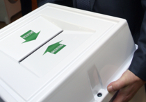 Бывший член ЦИК прокомментировал нарушения на выборах в Госдуму
