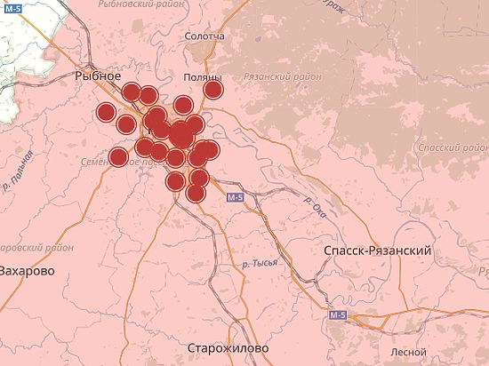 Нарушения на выборах в Рязанской области искали по «карте»