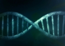 Изучение крайне редкой генетической мутации позволило ученым лучше понять природу проприоцепции — ощущения, которое порой неофициально называют «шестым чувством»