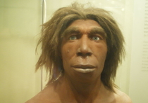 Группе специалистов из Италии удалось выяснить, каким был голос жившего более пяти тысяч лет назад человека, мумия которого была обнаружена в 1991 году