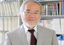 Профессор Токийского университета Ёсинори Осуми (Yoshinori Ohsumi) стал первым в этом году лауреатом Нобелевской премии