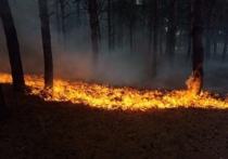Около 50 сотрудников ИНК и более 20 единиц спецтехники привлечены к тушению лесных пожаров в Усть-Кутском районе, что позволило полностью локализовать два больших очага, еще на одном  начато оконтуривание
