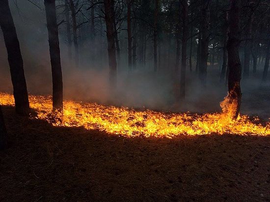 Сотрудники ИНК борются с пожарами в Усть-Кутском районе