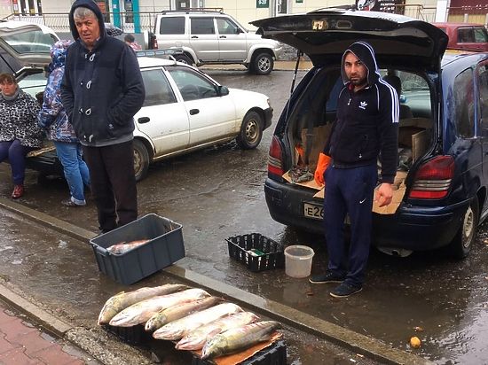 Хабаровские предприниматели обратились в мэрию. Бизнесмены жалуются на убытки, которые они несут из-за недобросовестных продавцов рыбой. 
