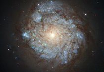 Специалисты NASA и их коллеги из Европейского космического агентства выяснили, почему отдалённые участки рукавов галактики NGC 278 значительно отличаются по скорости звездообразования от прочих ее участков