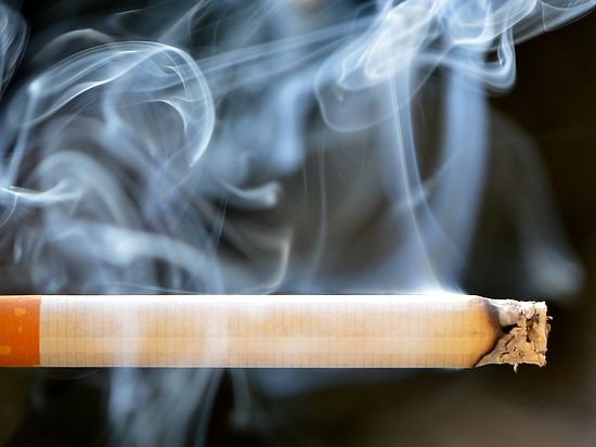 Доля «левого» табака на рынке достигла рекордных значений
