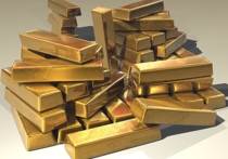 Амурчанину, нашедшему золото на 2,4 миллиона рублей, грозит тюрьма
