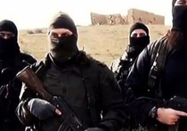 Если в 2000-е годы воплощением террористической угрозы на мировом уровне была созданная Усамой бен Ладеном сеть «Аль-Каида», то в 2010-е пальму первенства перехватила другая группировка — ИГИЛ