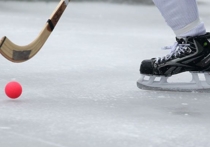 Международная федерация хоккея с мячом на заседании исполкома, состоявшегося в шведском Сандвикене, решила провести Чемпионат мира по бенди в 2019 году в Иркутске