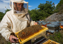В Иркутской области создан региональный Союз пчеловодов, в состав которого пока входят восемь человек