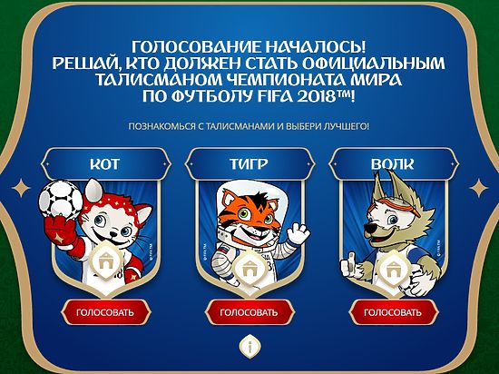 Не пришло указания, кого из кандидатов поддерживать – тигренка, котенка или волчонка