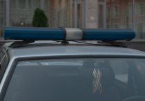 Полиция в Кронштадте задержала 50-летнего местного жителя по подозрению в «удовлетворении своих сексуальных потребностей, а также возбуждении извращенного интереса к половым отношениям» у ребенка