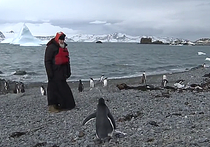 Патриарх Кирилл рассказал о том, как появилось его знаменитое фото с пингвинами в Антарктиде, снятое в феврале этого года во время визита предстоятеля РПЦ на самый южный континент