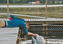 В Приморском океанариуме очередной скандал: на днях стало известно о смерти двух белобоких дельфинов