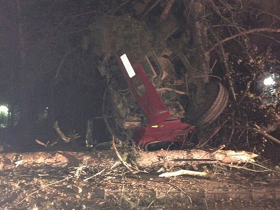 В Иркутске водитель бетоновоза погиб после наезда на дерево на улице Фаворского
