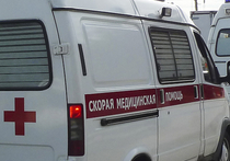 Малолетний ребенок погиб 31 октября под завалом из бревен в лесополосе в Пушкинском районе Московской области