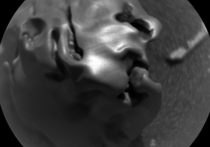 Путешествующий по Марсу ровер Curiosity наткнулся на металлический метеорит, лежащий на поверхности Красной планеты на склоне горы Шарп