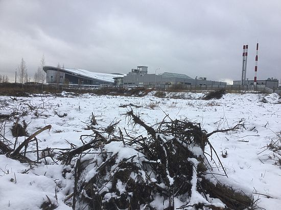 Экологи-активисты пытаются парализовать строительство парковки к мундиалю неподалеку от стадиона «Казань Арена»