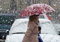 «Снежный апокалипсис» пообещали синоптики москвичам к концу текущей недели