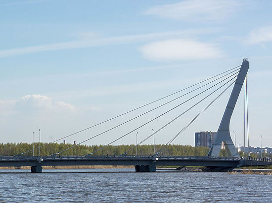 Законодательное собрание отвергло инициативу о проведении референдума по поводу названия моста