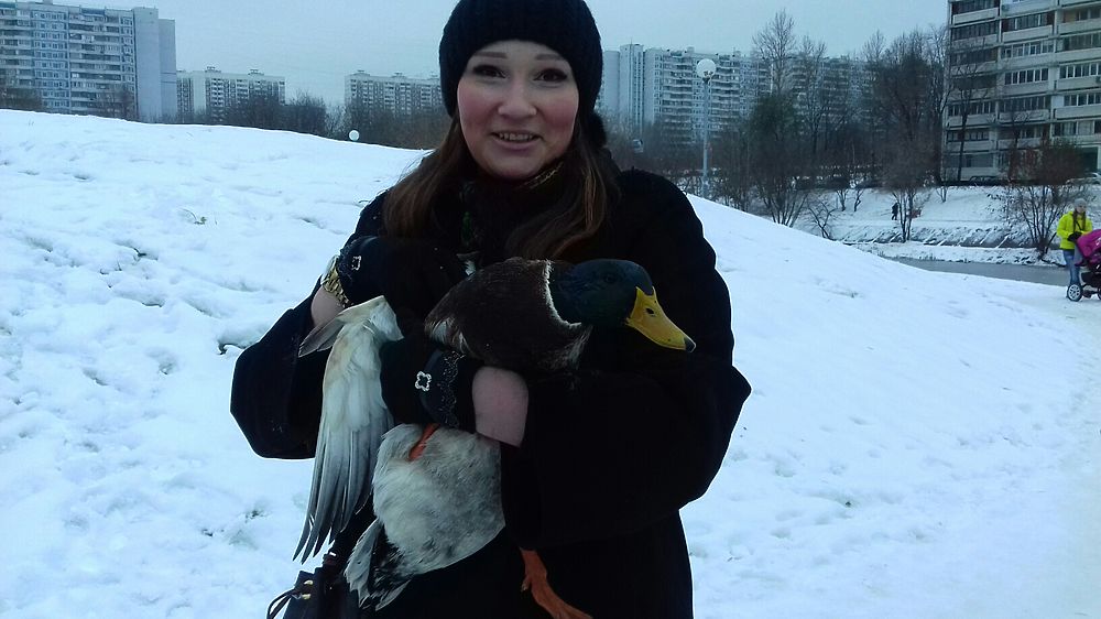 Вмерзавших в пруд московских уток спасли от страшной смерти