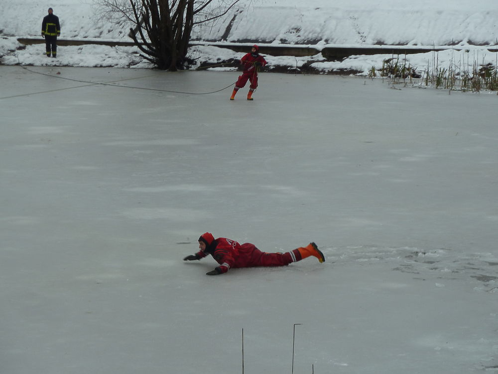 Вмерзавших в пруд московских уток спасли от страшной смерти