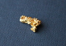 УФСБ по краю перекрыла канал поставки природного рассыпного самородного золота