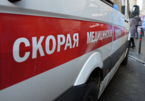 Молодая женщина и двое ее маленьких детей погибли при пожаре в воскресенье утром в Мытищинском районе Московской области