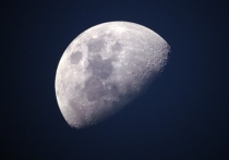 Самый яркий осенний звездопад — Леониды — этой ночью всё же будет недостаточно ярким, чтобы пробиться сквозь свет полной Луны