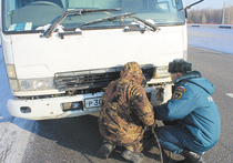 В АЛТАЙСКОМ КРАЕ СОТРУДНИКИ МЧС ПОМОГЛИ ВОДИТЕЛЮ

На федеральной трассе, в условиях сильного мороза, спасатели помогли владельцу заглохшего автомобиля добраться до Барнаула