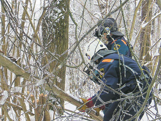 «МК» провел один день с МЧС на устранении последствий ледяного дождя в Дмитровском районе