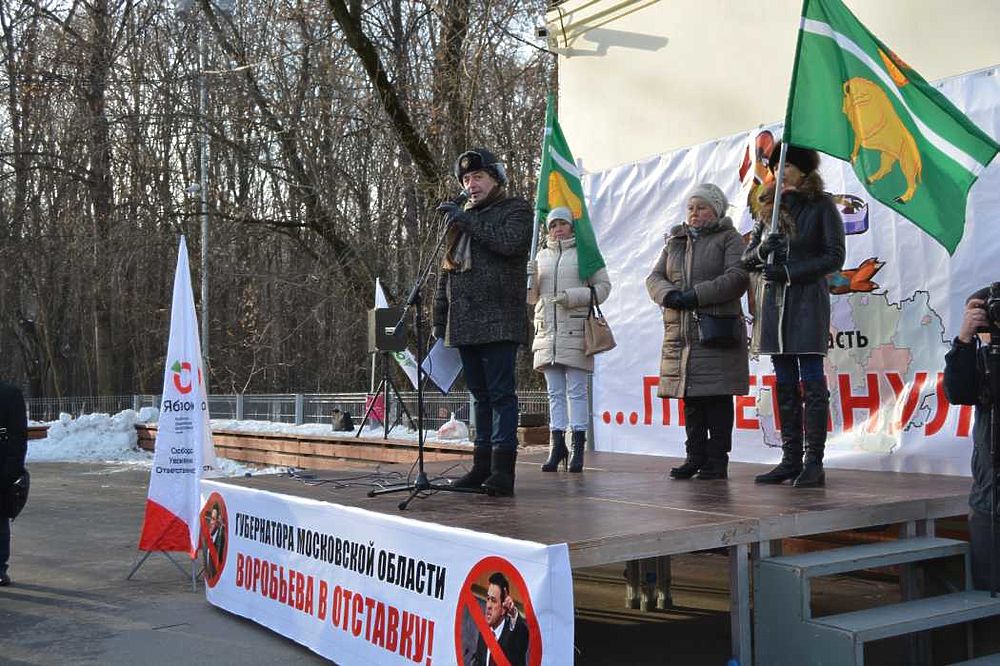 Митинг в защиту местного самоуправления прошел в Сокольниках