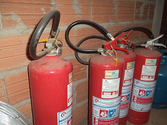 Местный житель год хранил ее в сарае