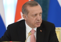 Президент Турции, что цель турецких войск в Сирии — свернуть ее правителя и «восстановить справедливость»