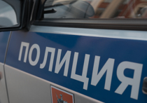 Безбилетный пассажир вытолкнул из салона автобуса двух женщин-контролеров на Ярославском шоссе в среду