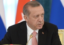 МИД РФ встревожило заявление Эрдогана о свержении Асада